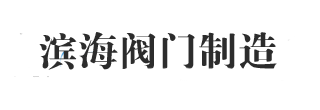 河北滨海阀门制造有限公司-
